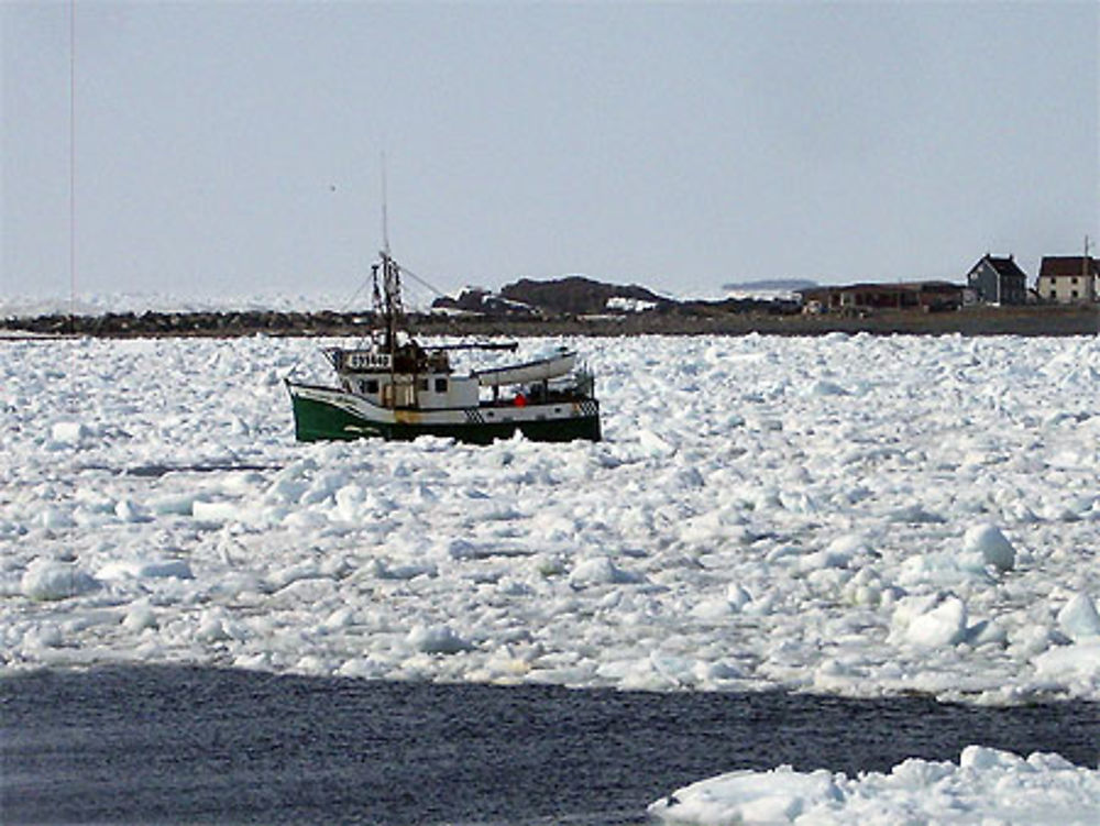 Bateau de pêche