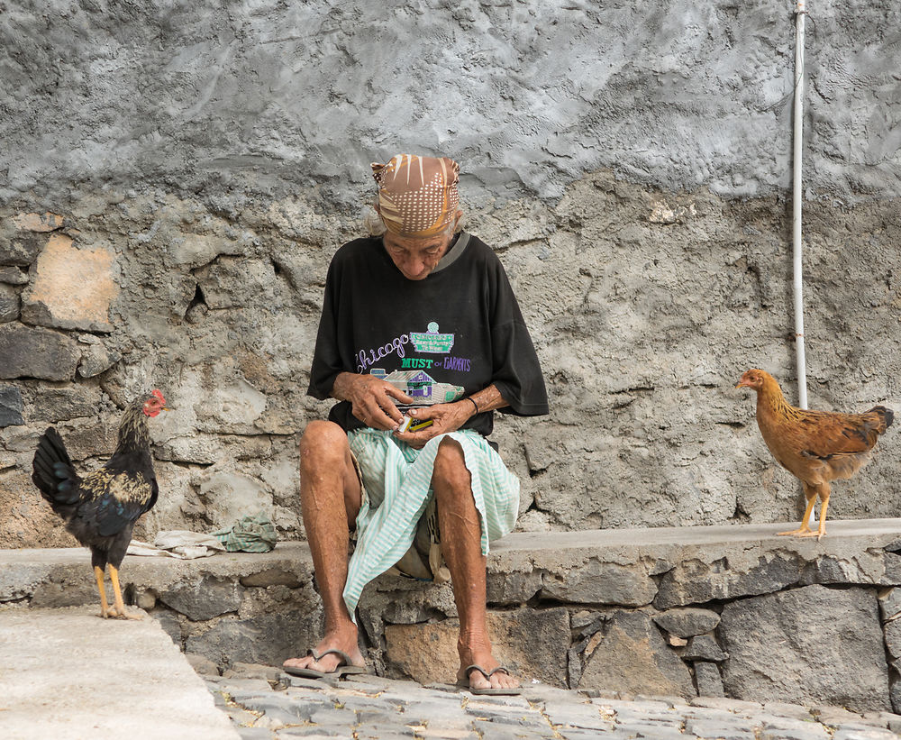 Une vieille dame et les poules