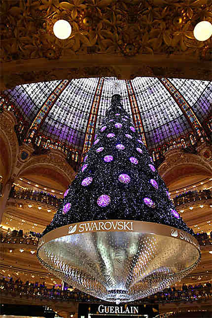 Sapin des galeries