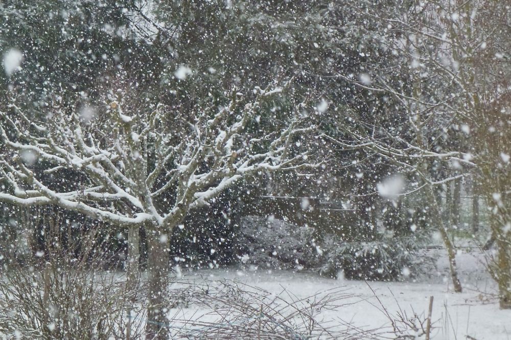 Gros flocons à Rochechouart, Limousin