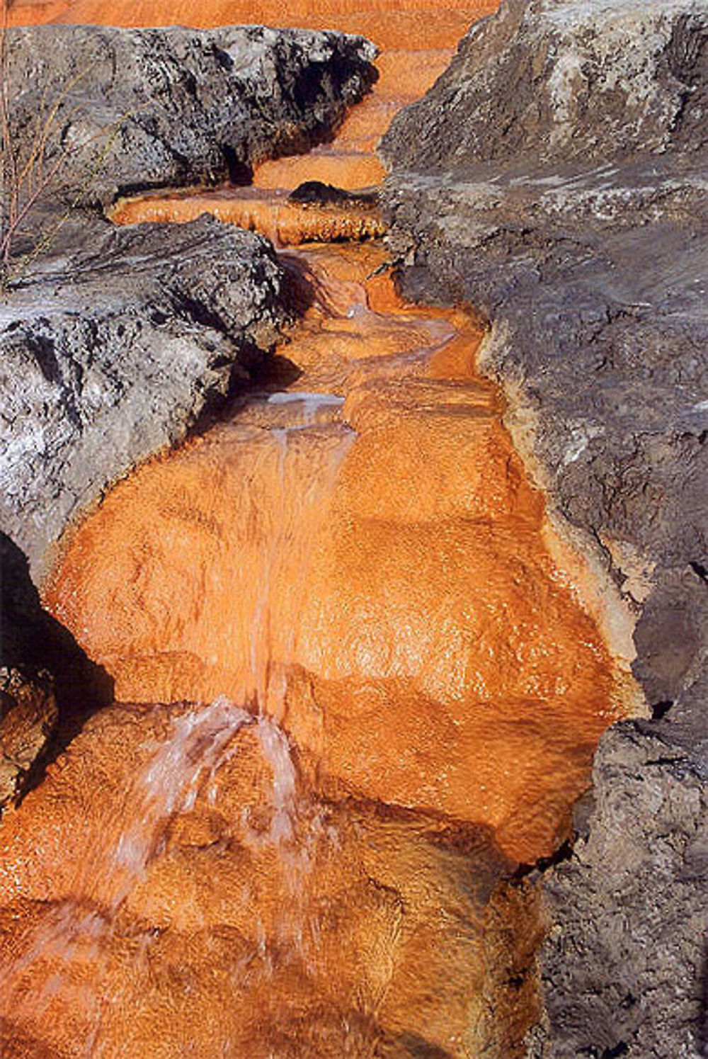 Ruisseau surréaliste à Crystal Geyser