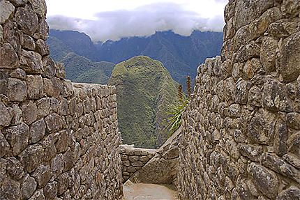 Ruelle à Machu Picchu