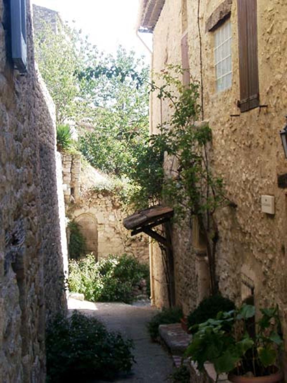 Ruelle