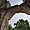 Sous l'arche, Jardins de la Fontaine, Nîmes