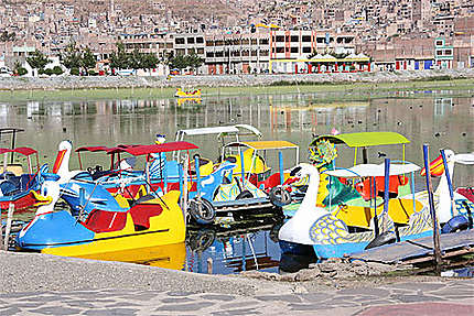 Pédalos sur le Lac Titicaca