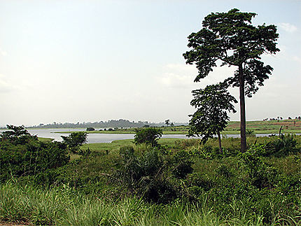 Verdure Ivoirienne
