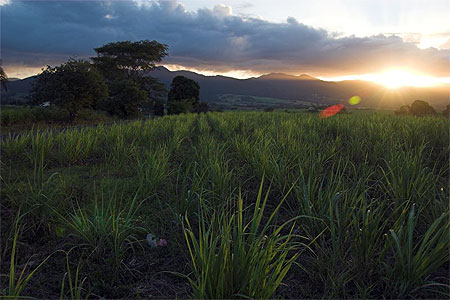 Soleil couchant sur Basse Terre Soleil couchant sur Basse Terre