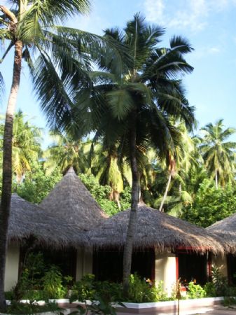 Biyadhoo Island Resort