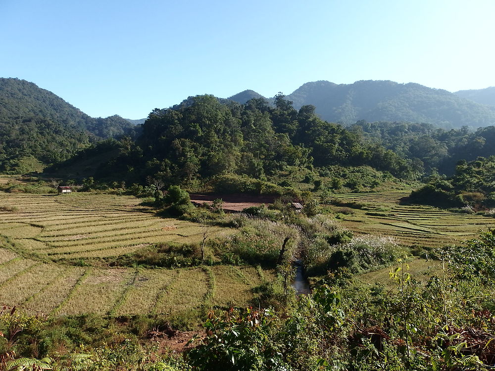 Trek dans la province de Phongsaly