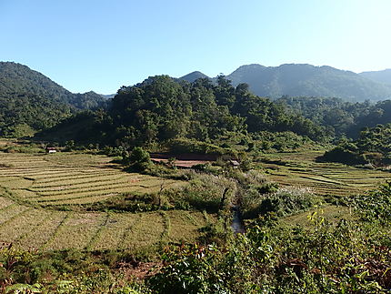 Trek dans la province de Phongsaly