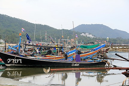 Port de pêche bateaux
