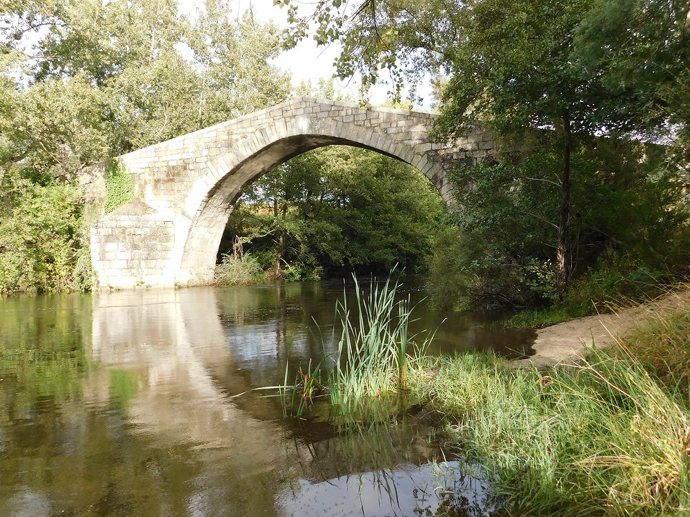 Pont Pisan XIIIème