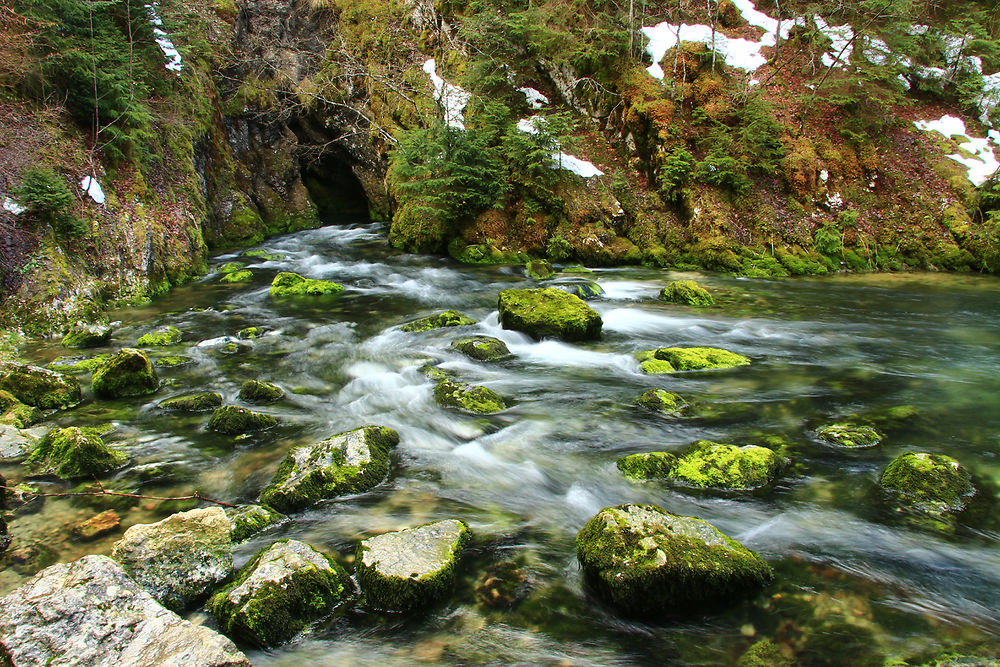 Source du Doubs