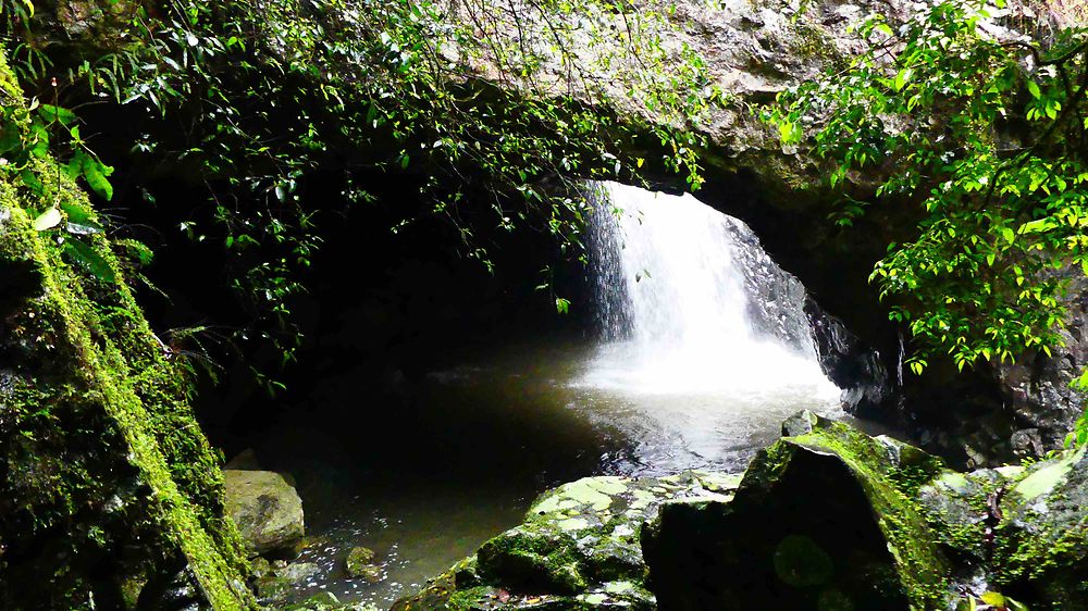 Natural Bridge, Springbrook National Park