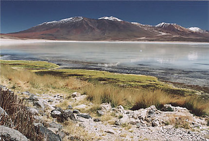 Lagune dans les Andes boliviennes