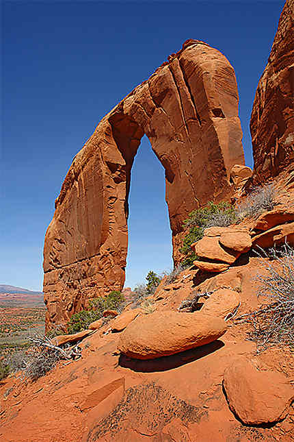 Royal Arch