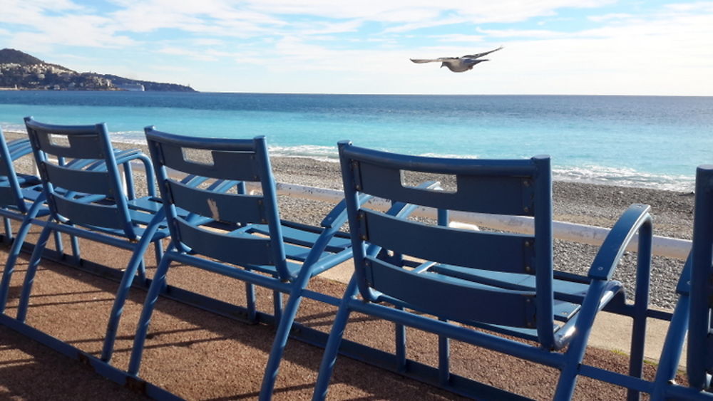 Chaises bleues