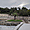 Palmier central - Jardins de la Fontaine de Nîmes 