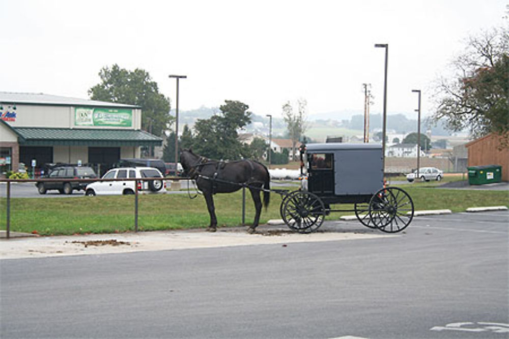 Parking au pays amish