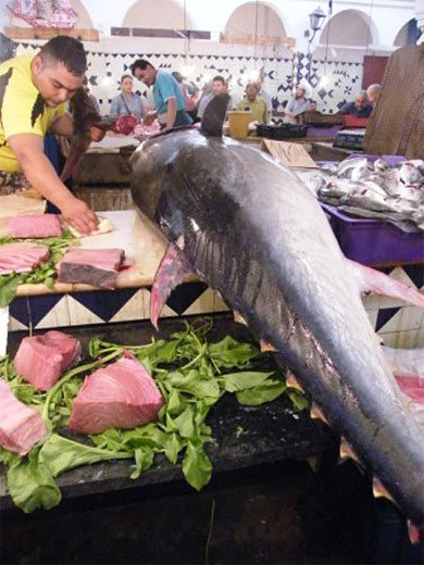 Marché aux poissons Marché aux poissons