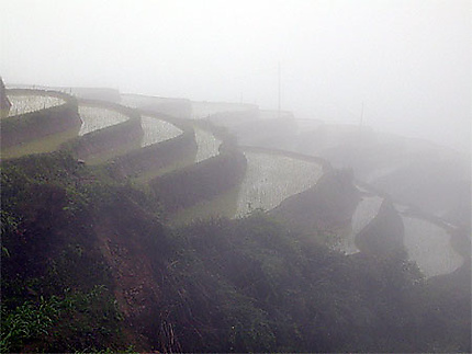 Rizières en montagne