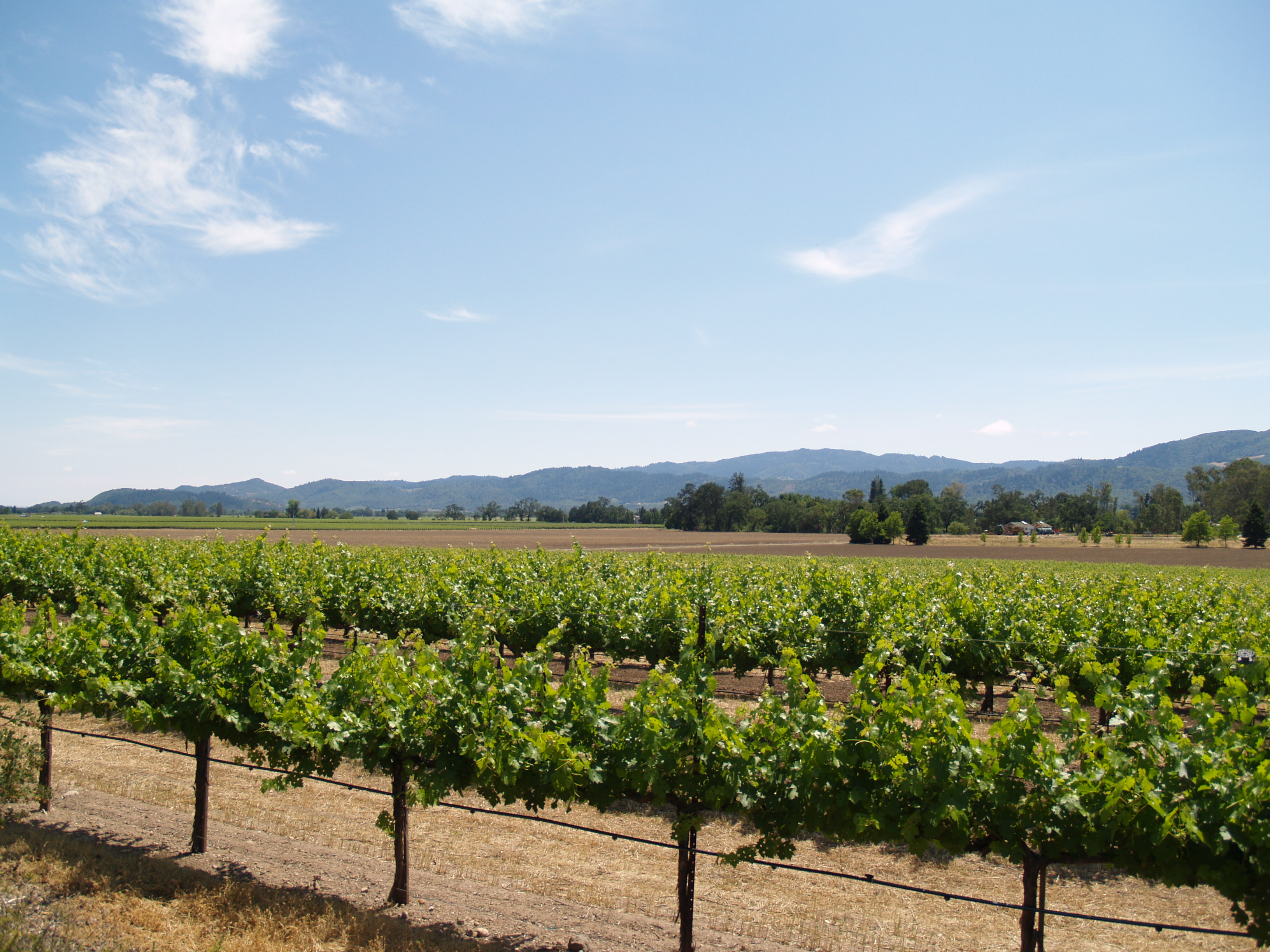 Napa Valley Napa Valley