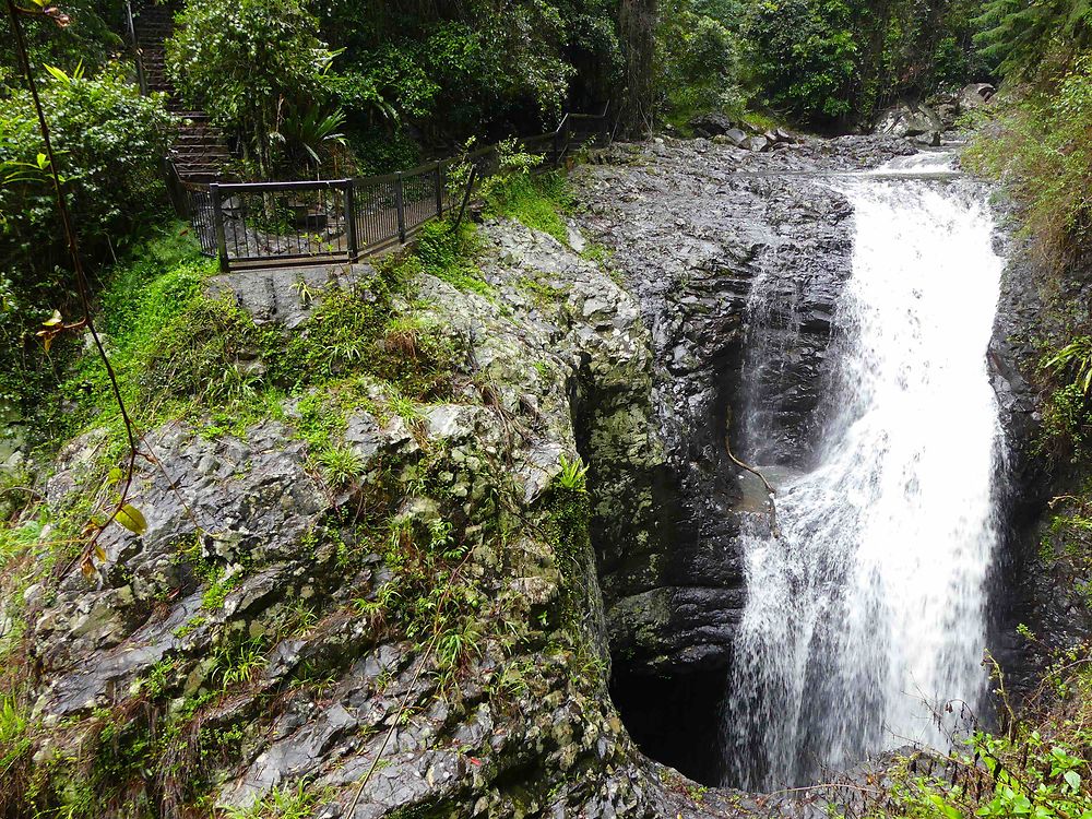 Cascade - Springbrook National Park Forest