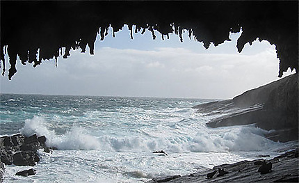 Caverne aux otaries