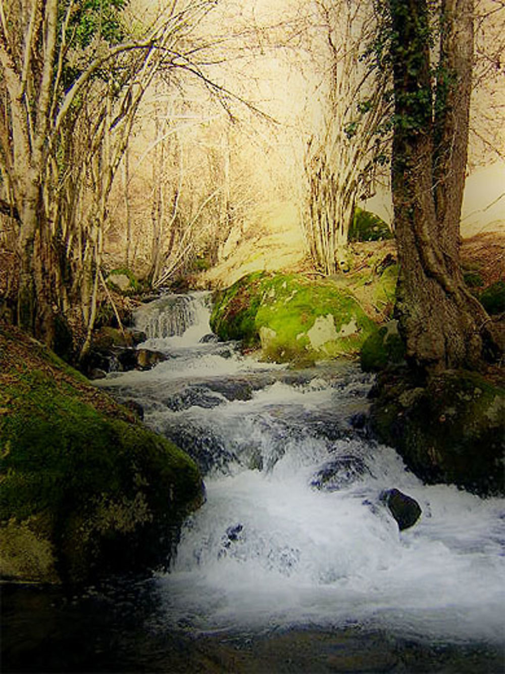 Chemin de Ste germaine