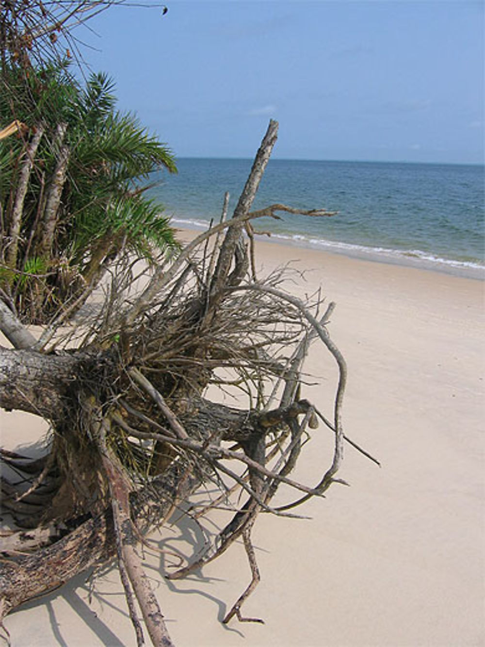 Plages de sable fin Pointe Denis