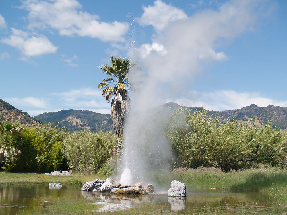 Old Faithful Geyser of California