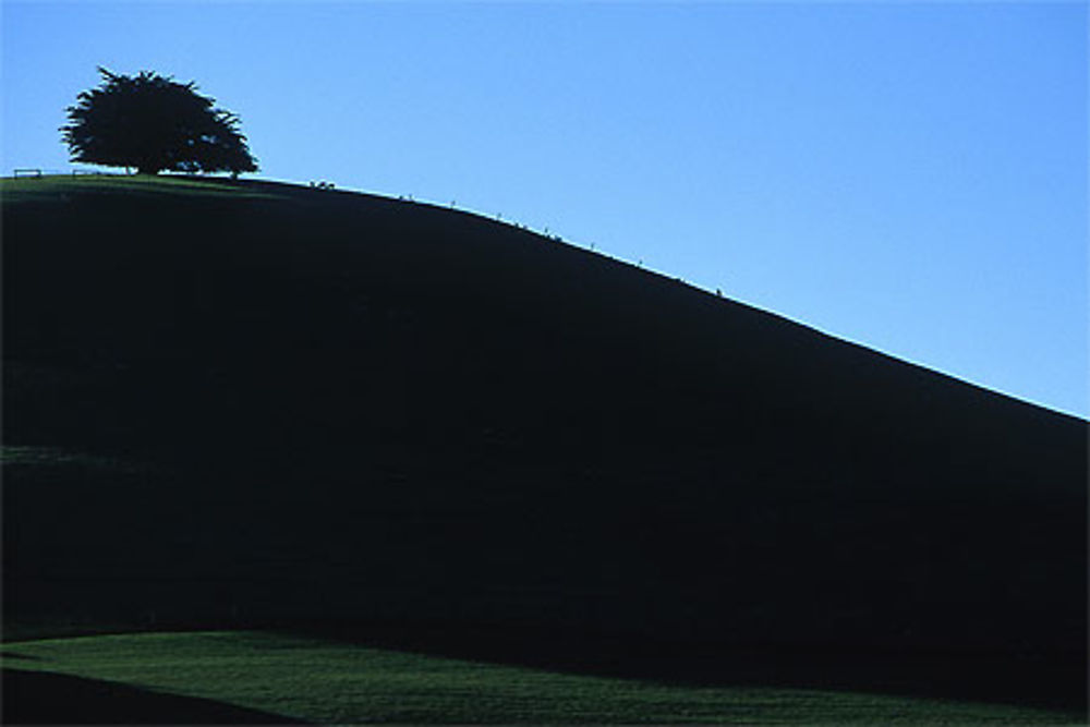 L'ombre de la lumière