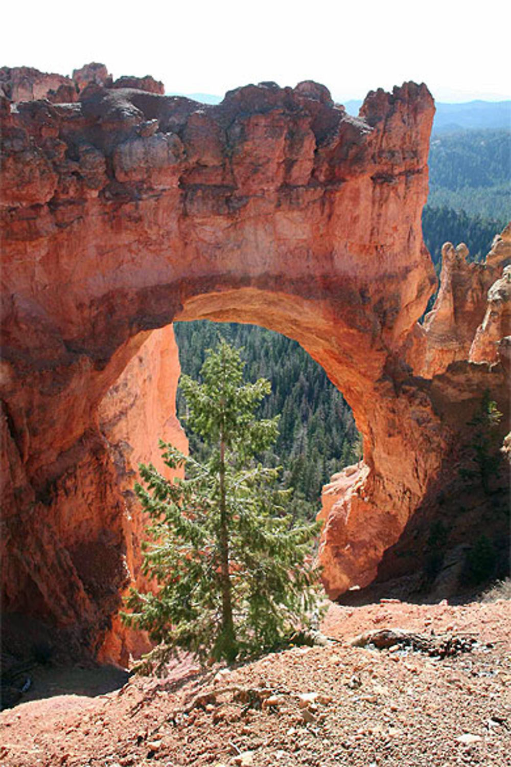 Bryce Canyon