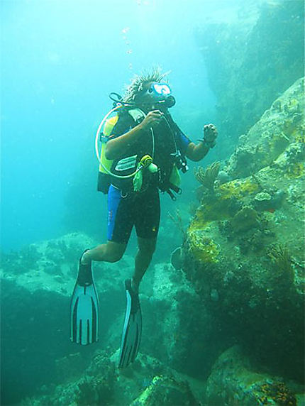 Plongée Guadeloupe