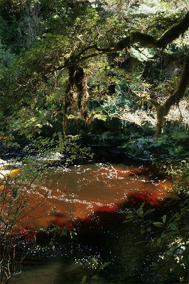 River runs red River runs red