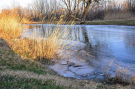 Les étangs de la Capelle Masmolène
