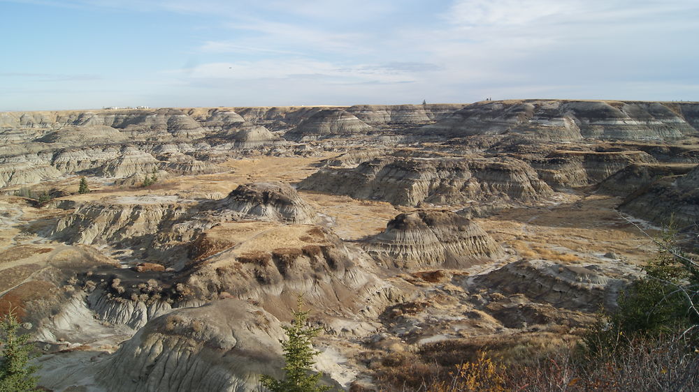 Badlands - Drumheller