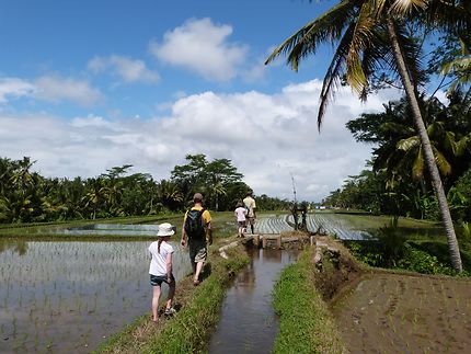 Treck au milieu des rizières be Bali
