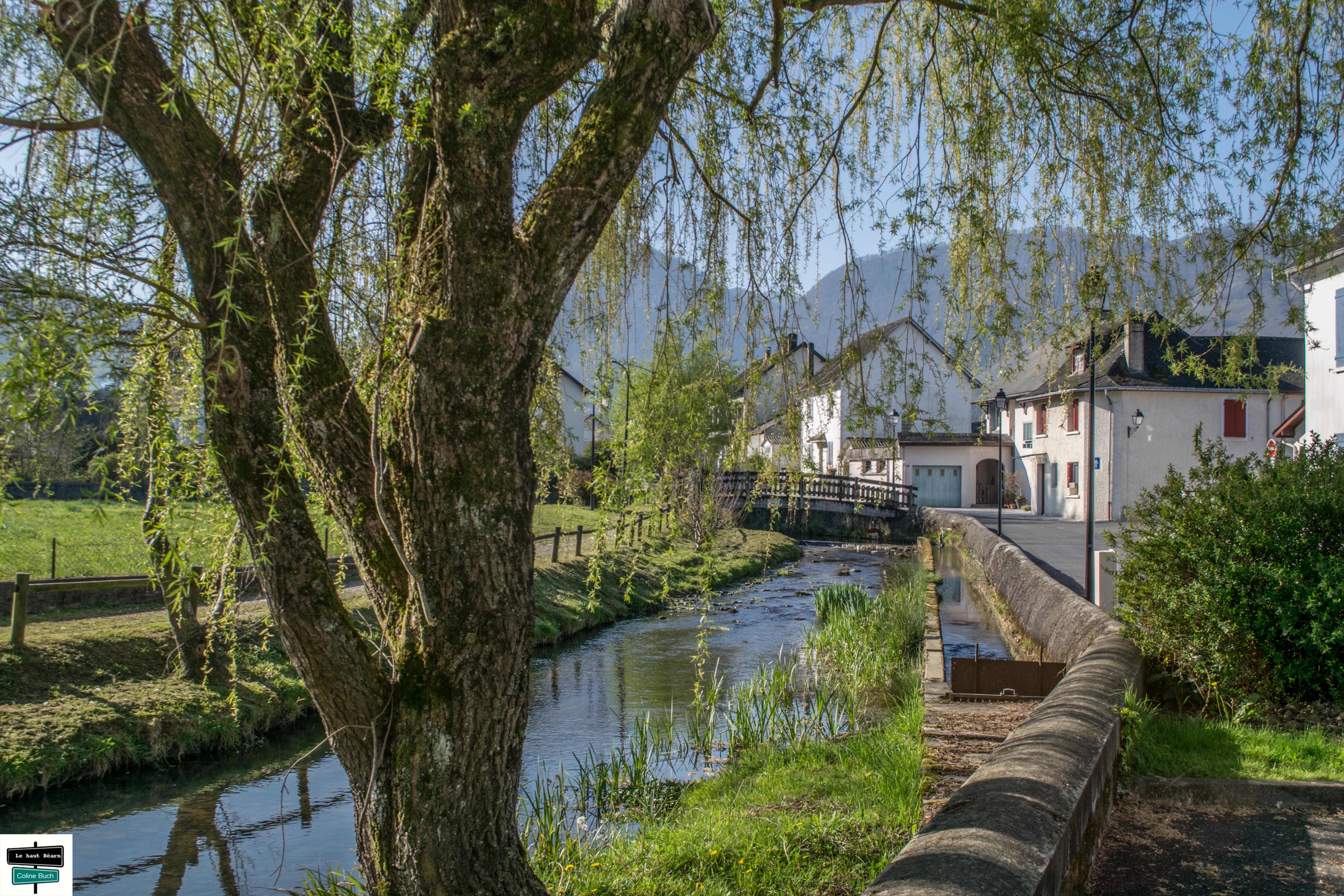 Quartier de Arette Quartier de Arette