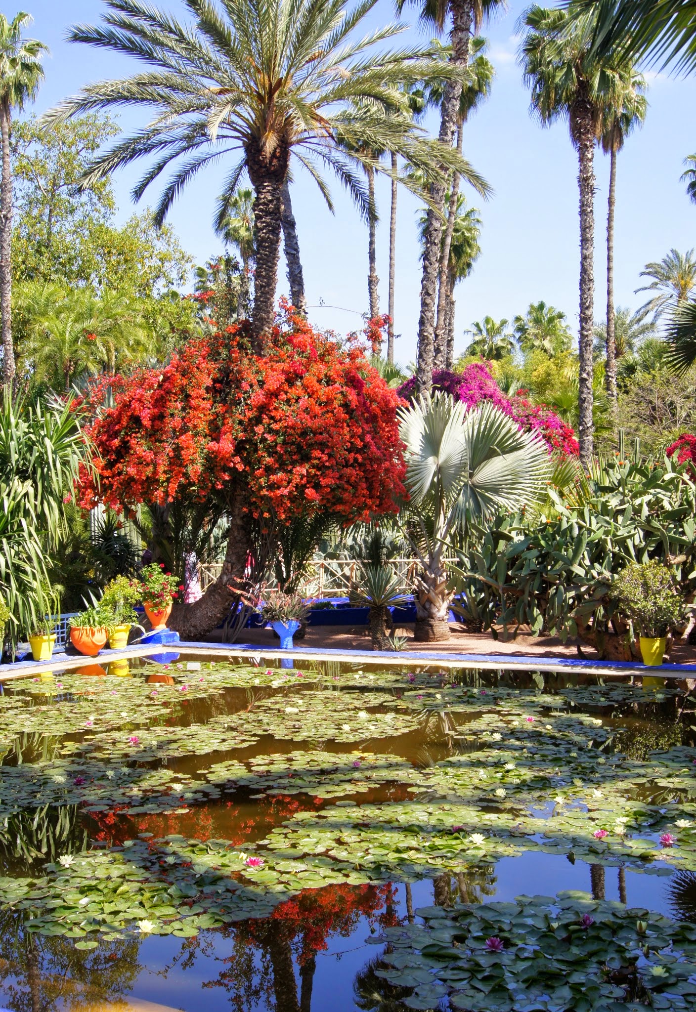 Jardin Majorelle. Marrakech Jardin Majorelle. Marrakech