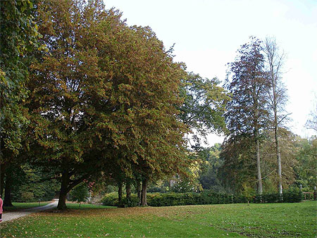 Arboretum de St Sulpice de Favières Arboretum de St Sulpice de Favières
