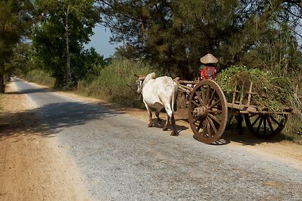 Route paisible de Birmanie, Sagaing