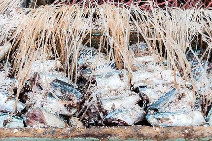 Le port d'Essaouira, Filets de sardine sur hameçon