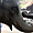 L'éléphant Thaï, l'animal sacré