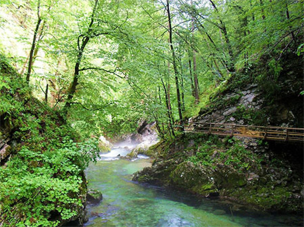 Beauté de la Slovénie