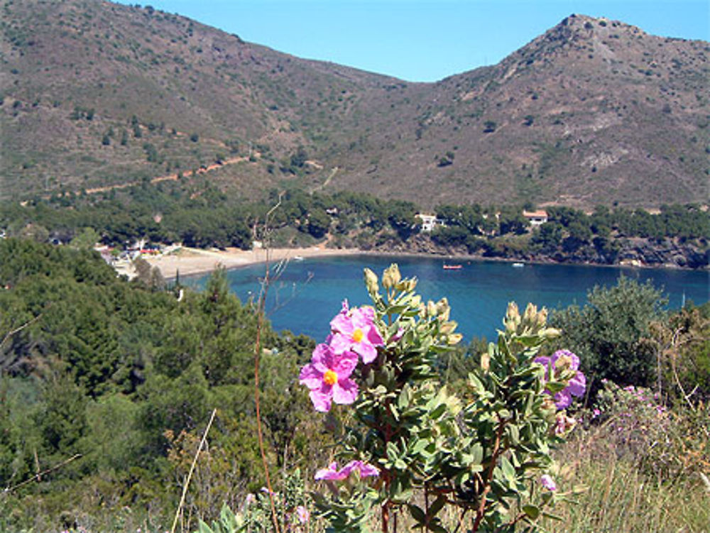 Baie de Cala Montjoi