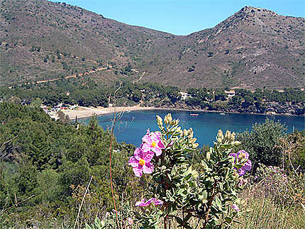 Baie de Cala Montjoi