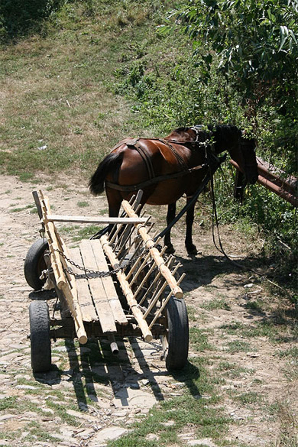 Une charrette et son cheval