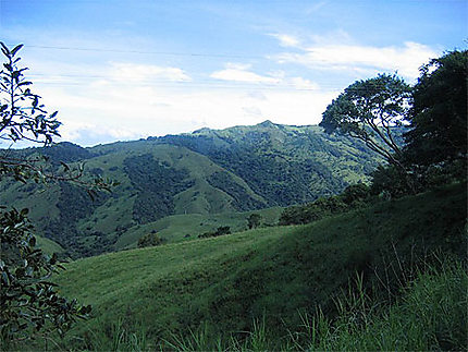 Collines vertes près de Monteverde