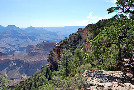Le Grand Canyon depuis la Rim sud